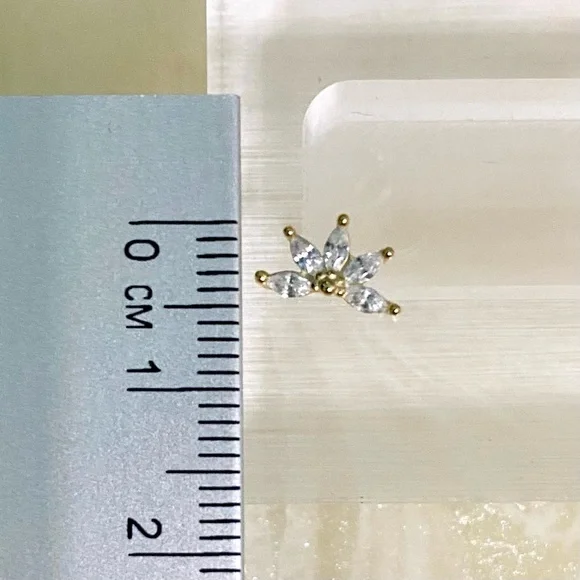 Elegant Gold S925 Flower cartridge Stud Earring - Picture 4 of 5